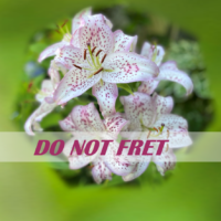 Do Not Fret