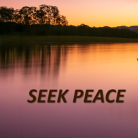 Seek Peace