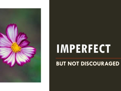 IMPERFECT