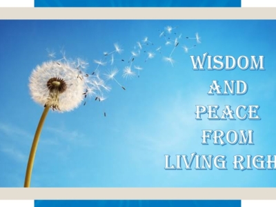 WISDOM