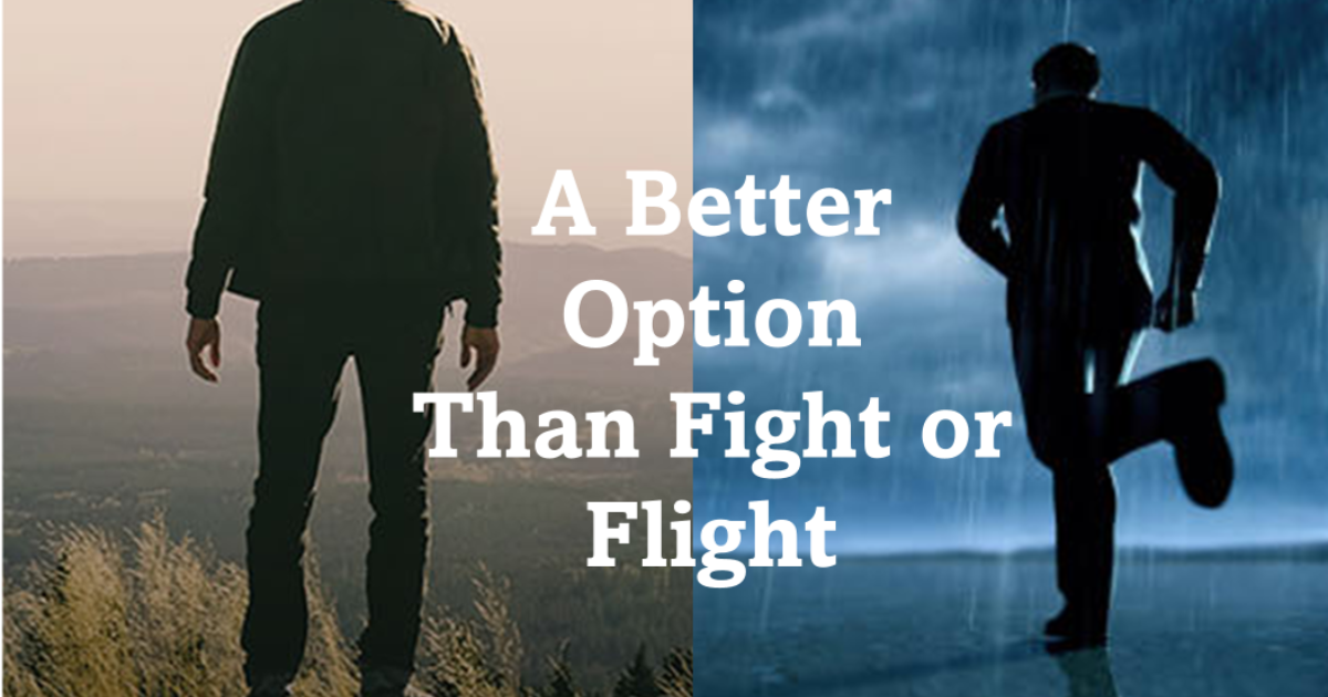 Partners In Hope | A Better Option Than Fight Or Flight