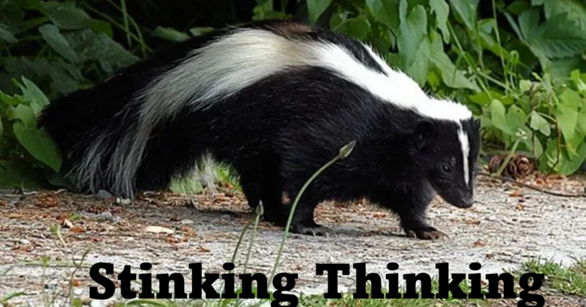 Partners In Hope | Stinking Thinking - Fear