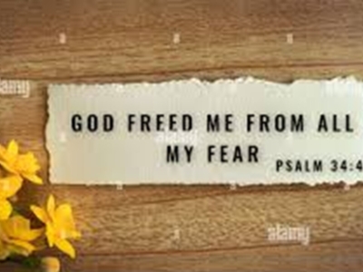 FREED