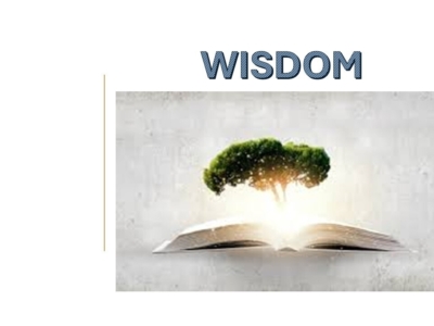 WISDOM