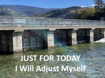 Adjust