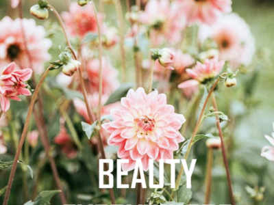 Beauty