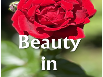 Beauty