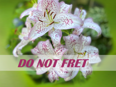 Fret