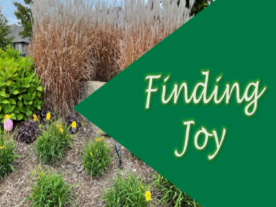 Finding
