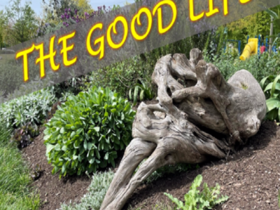 The