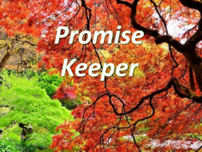 Promise