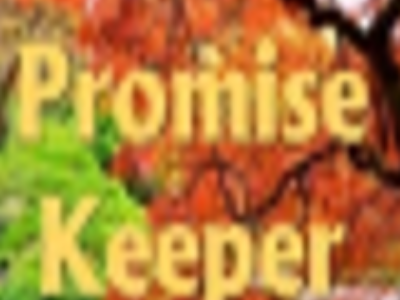 Promise