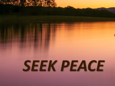 Seek