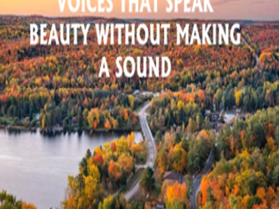 Voices