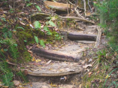Step