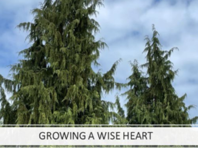 Grow