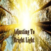 Adjusting To Bright Light