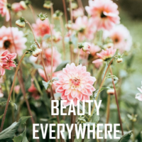 Beauty Everywhere