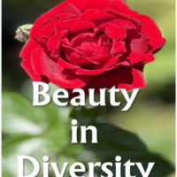 Beauty in Diversity