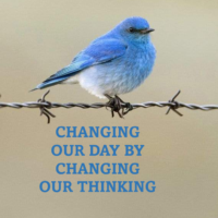 Changing Our Day By Changing Our Thinking