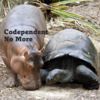 Codependent No More