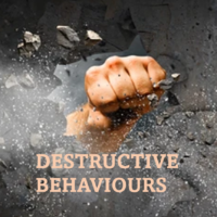 Destructive Behaviours