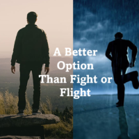 Fight or Flight