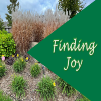 Finding Joy