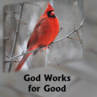 GOD WORKS FOR GOOD