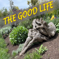 Good Life