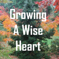 Growing A Wise Heart