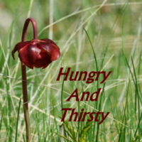 Hungry and Thirsty