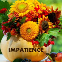 IMPATIENCE