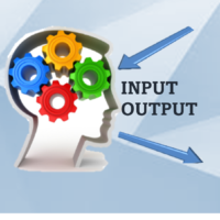 Input Output