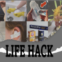 Life Hack