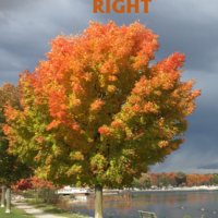 Making Things Right