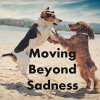 Moving Beyond Sadness