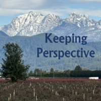Perspective