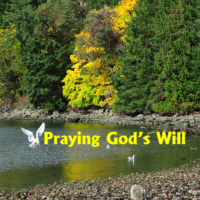 Praying Gods Will
