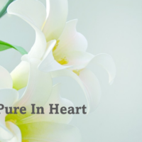Pure In Heart
