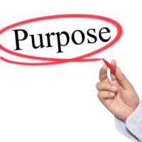 Purpose