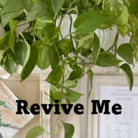 Revive Me