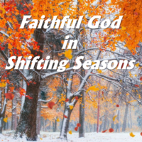 Shifting Seasons