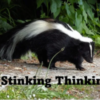 Stinking Thinking Fear