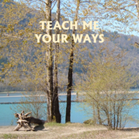 Teach Me Your Way