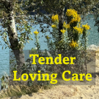 Tender Loving Care