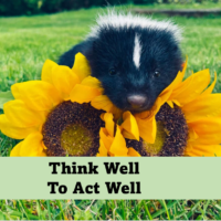 Think Well To Act Well