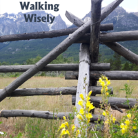 Walking Wisely
