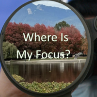 Where Is My Focus