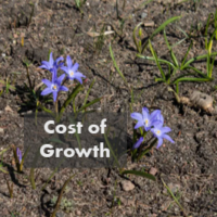 Cost of growth